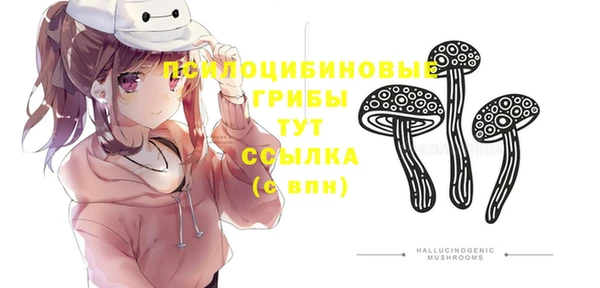 ешки Медвежьегорск