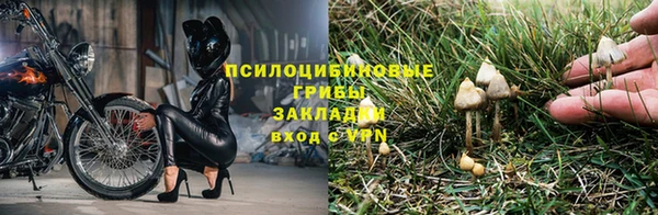 соль ск Мегион
