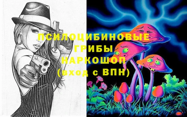 соль ск Мегион