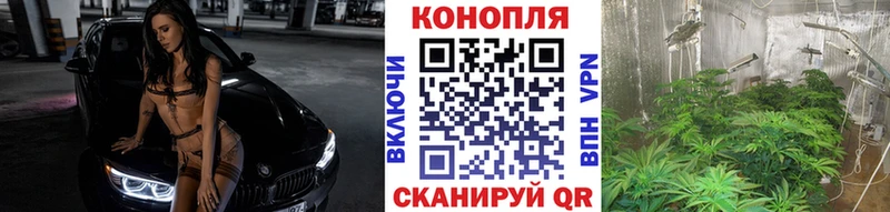Шишки марихуана конопля Уржум
